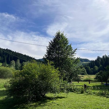 Drewniany Domek Bb Nad Rzeka Powroznik Luaran gambar