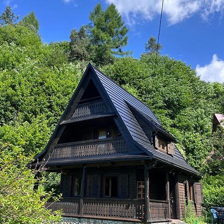 Drewniany Domek Bb Nad Rzeka Powroznik Luaran gambar